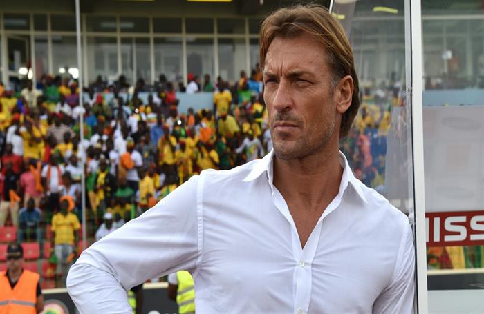 رينارد يعلن موقفه النهائي من تولي تدريب منتخب مصر خلفا لكوبر