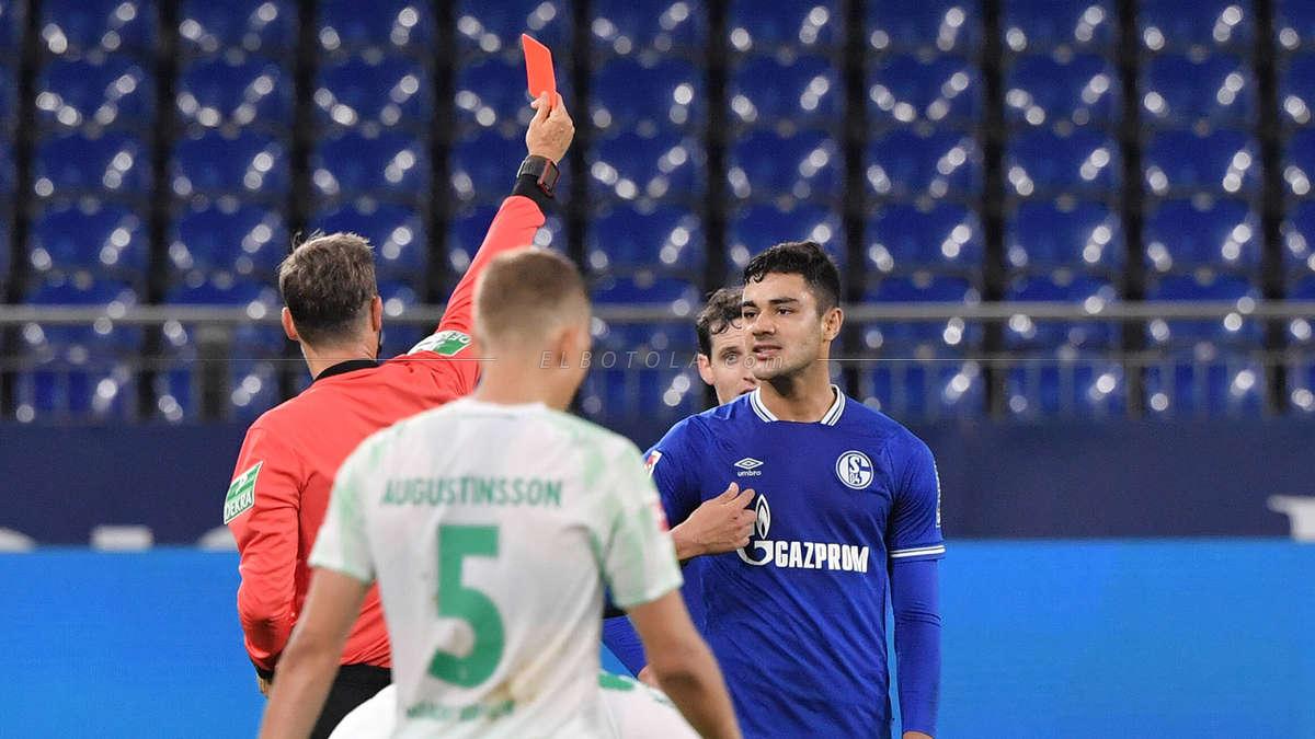 الدورى الألماني .. واقعة بصق فى مباراة مونشنجلادباخ ضد هوفنهايم(فيديو)