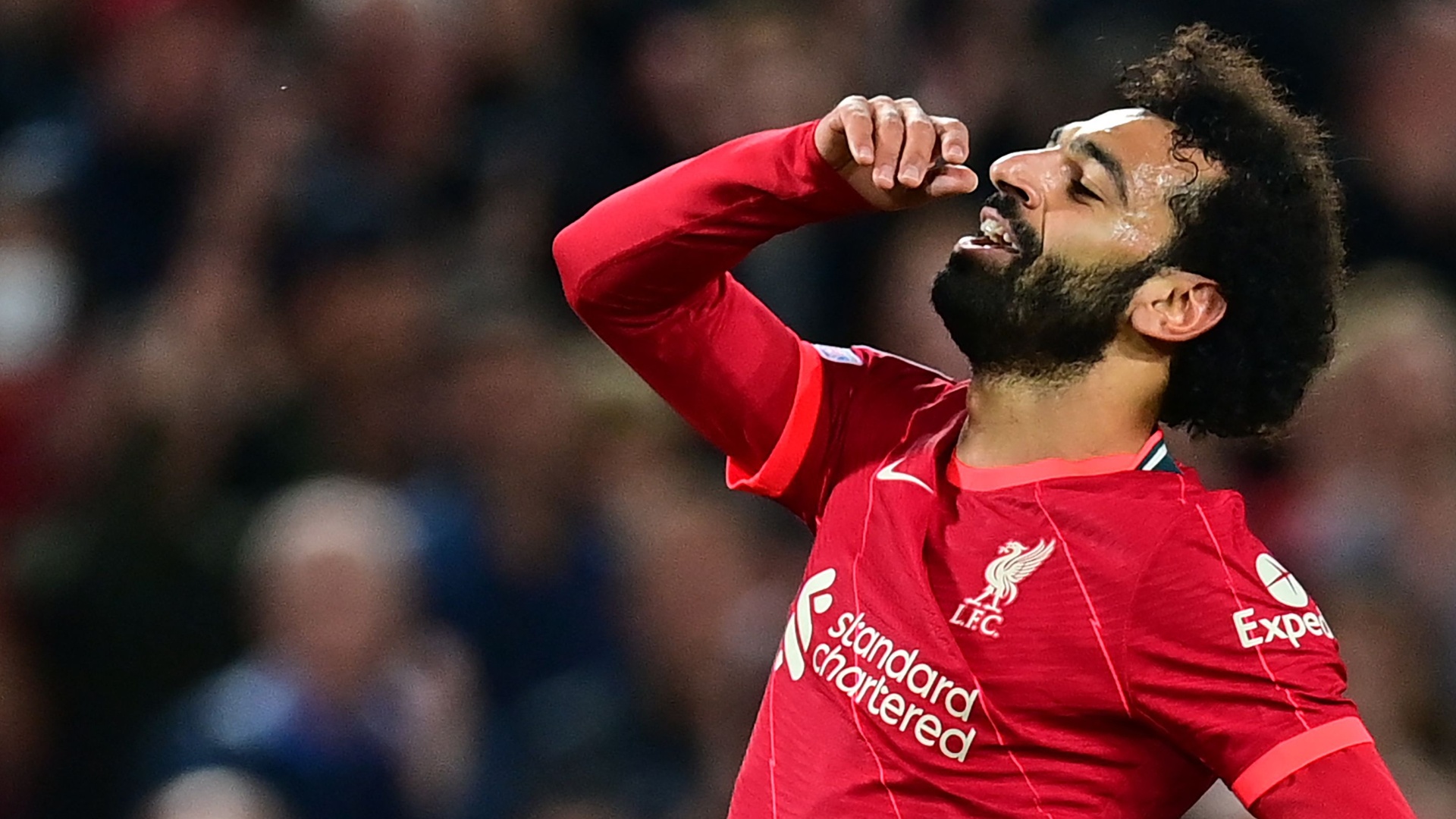 يورجن كلوب يتحدث عن مستقبل محمد صلاح بعد تجديد تعاقده مع الريدز