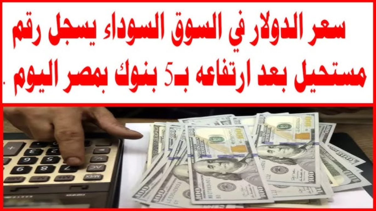 100 دولار كم جنيه مصري اليوم في السوق السوداء؟.. سعر الدولار اليوم في مصر بعد عودة السوق الموازي