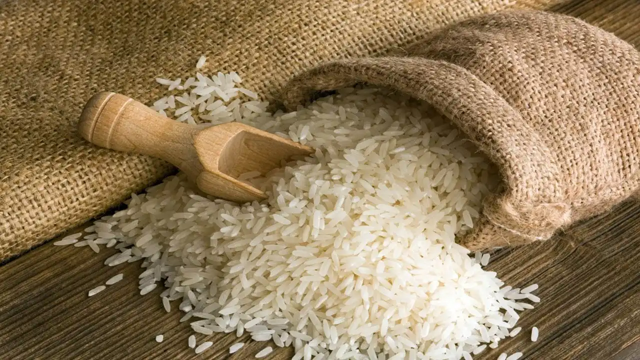 “رفيع وعريض الحبة” سعر طن الرز الشعير اليوم الأربعاء بتاريخ 15 يناير 2025 بالأسواق