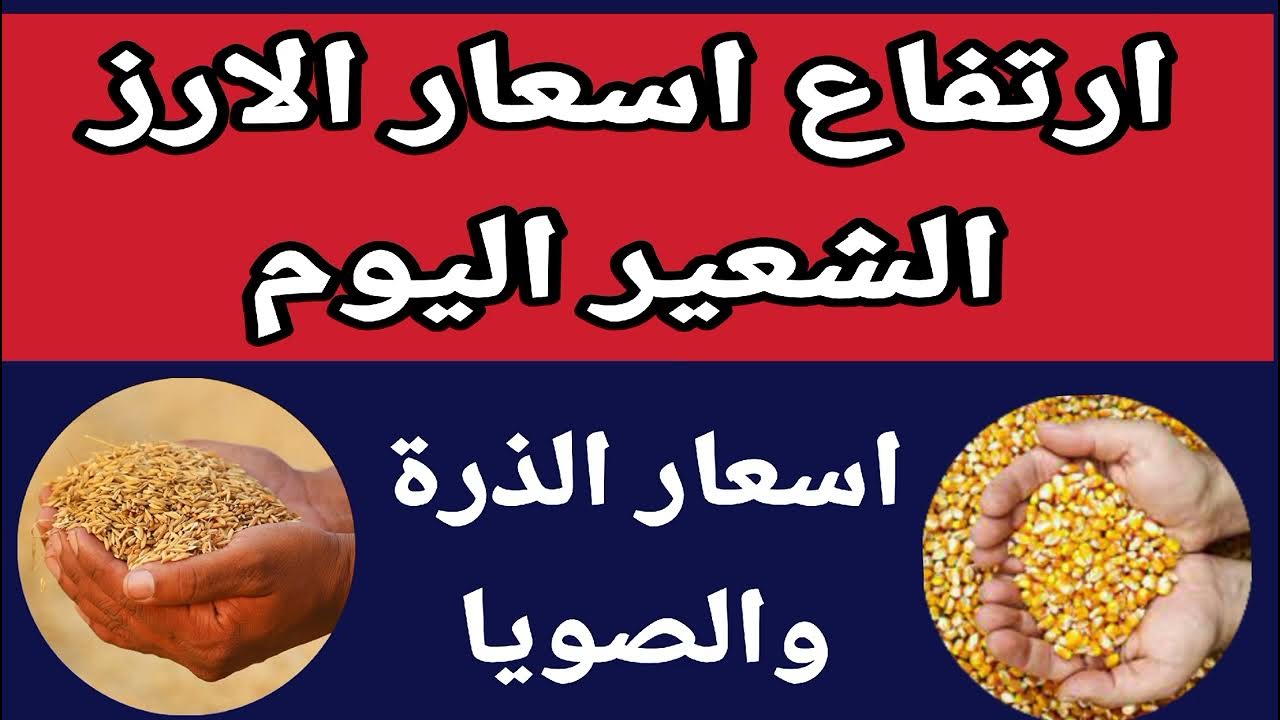 “تسعيرة لحظية” سعر طن الارز الشعير اليوم الخميس 23-1-2025 بجميع الاسواق وأسعار السلع الغذائية