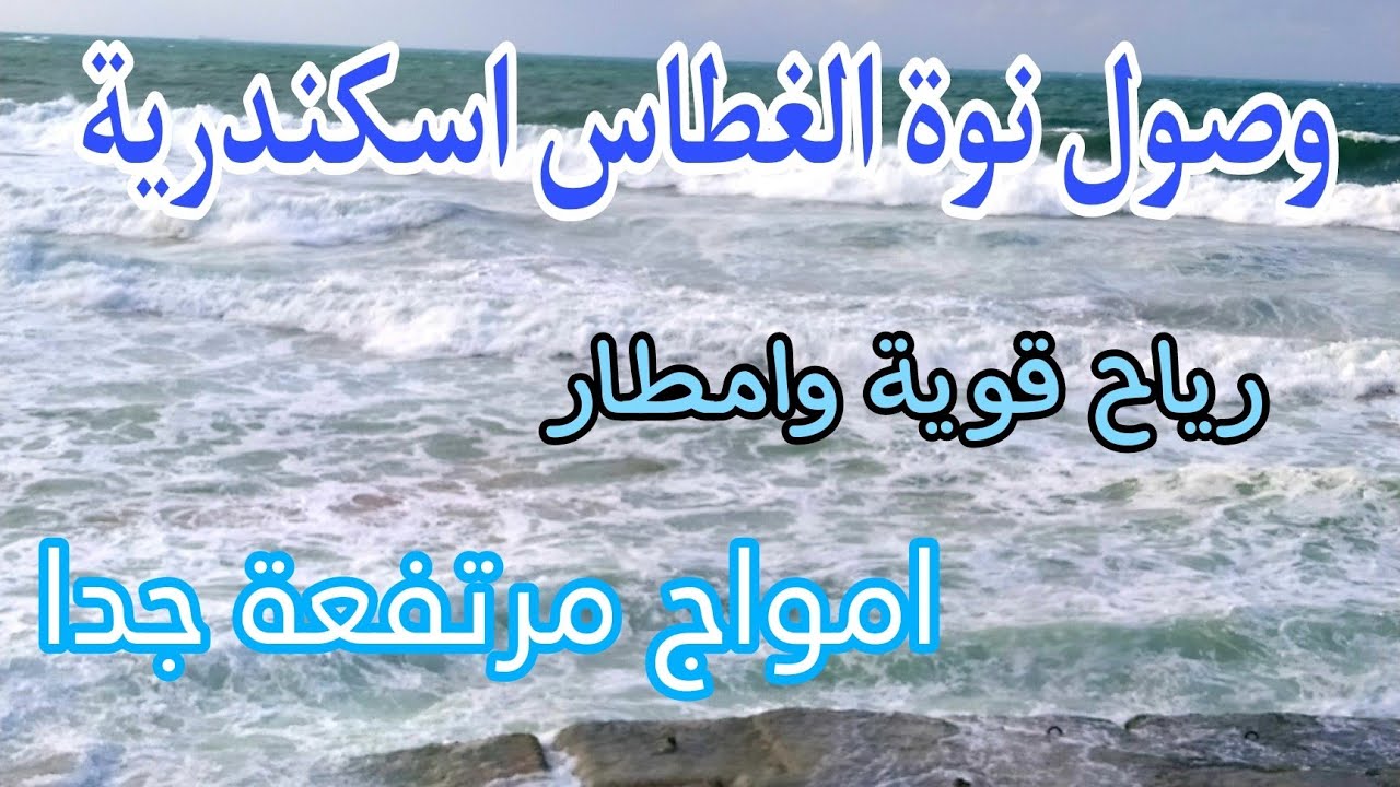 نوة الغطاس تضرب الإسكندرية بأمطار غزيرة ورياح شديدة.. هل سيتم تعطيل العمل؟