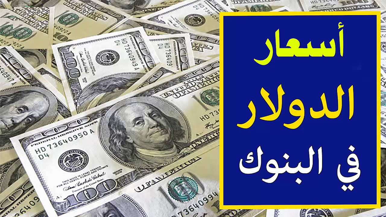 100 دولار كم جنيه مصري في السوق السوداء.. تعرف علي سعر الدولار مقابل الجنيه بتعاملات اليوم الإثنين 12 مايو 2025.. هل يستمر الاستقرار أم يرتفع قريباً؟