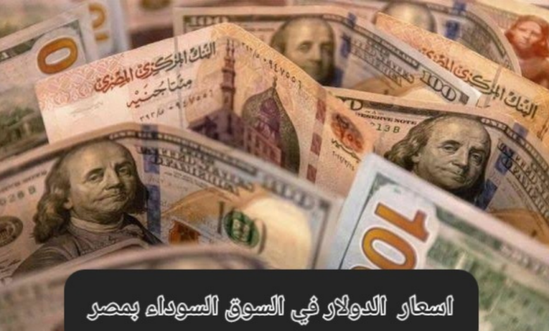 مفاجئة جديدة للتجار.. سعر الدولار مقابل الجنيه المصري في السوق السوداء اليوم السبت 18 يناير 2025