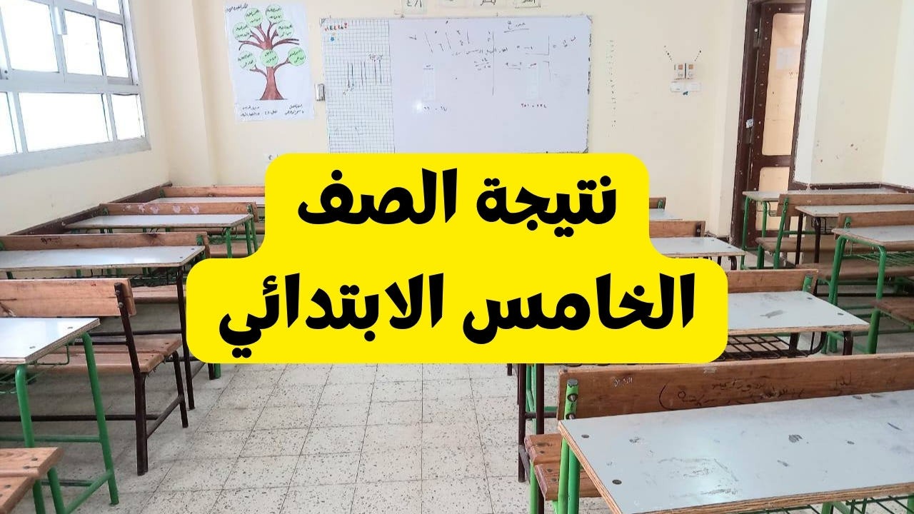 نتيجة خامسه ابتدائي 2025 بالاسم ورقم الجلوس .. موعد الظهور ورابط الاستعلام