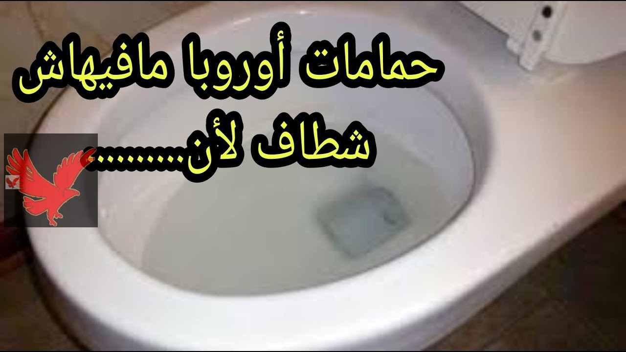 سوف تصدم من السبب ؟؟” اسباب عدم استخدام الأوروبيون الشطافة بدورات المياه.. ليه حمامات أوروبا مافيهاش شطاف سبب اغرب من الخيال!
