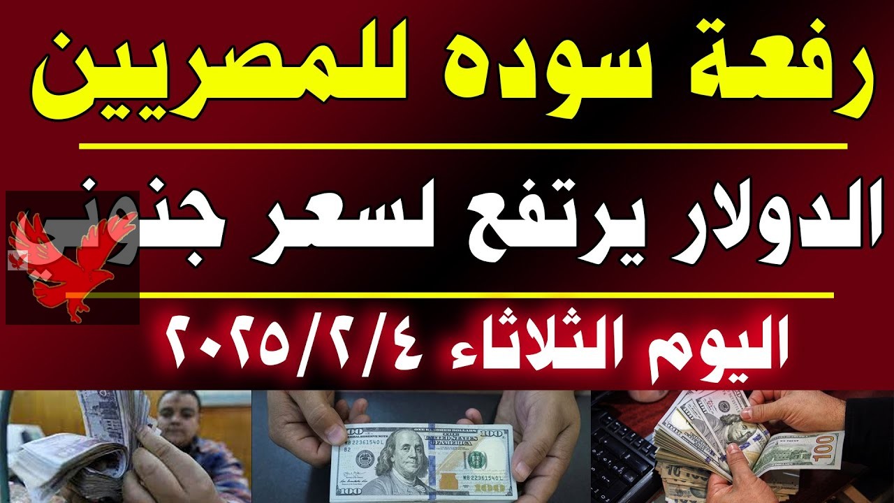 بعد ارتفاعه رسميا ببعض البنوك المصرية.. سعر الدولار مقابل الجنيه المصري في السوق السوداء اليوم الاربعاء 12 فبراير 2025 “أخر تحديث الآن”