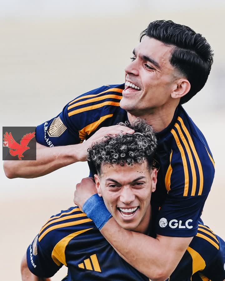 جراديشار يقود هجوم الاهلي امام البنك الاهلي في الدوري المصري الليلة
