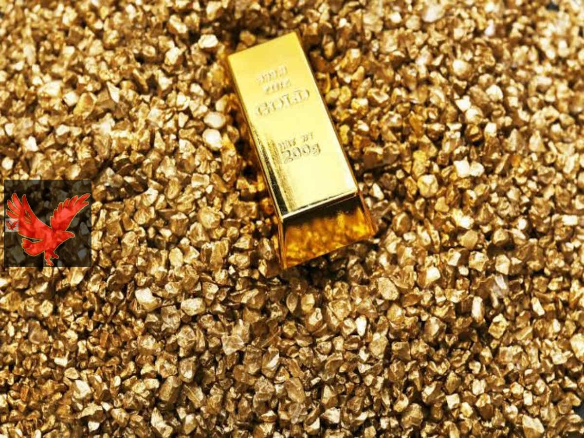 عااااجل «صدمة كبري لدول الخليج » ..عاجل اكتشاف أكبر منجم ذهب علي كوكب الارض بقيمة 83 مليار دولار يقع في هذه الدولة الأفريقية .. لن تصدق من هي هذه الدولة ؟؟؟