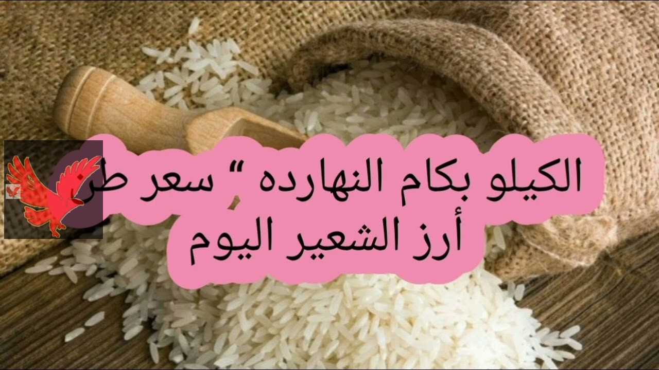 بكام عريض الحبة الآن.. سعر الأرز الشعير اليوم الإثنين 12 مايو 2025 في الأسواق المحلية وفقاً للتحديث الأخير
