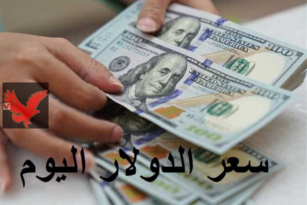 كم سعر 100 دولار في السوق السوداء .. سعر الدولار مقابل الجنيه المصري اليوم الأربعاء 14 مايو 2025 في البنوك المصرية