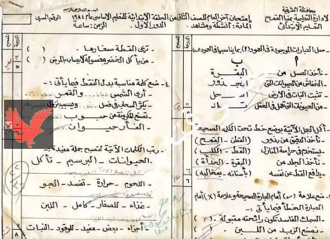 قلبت الفيس كله … صورة من امتحان تانية إبتدائي سنة 1984 تثير الجدل على السوشيال ميديا